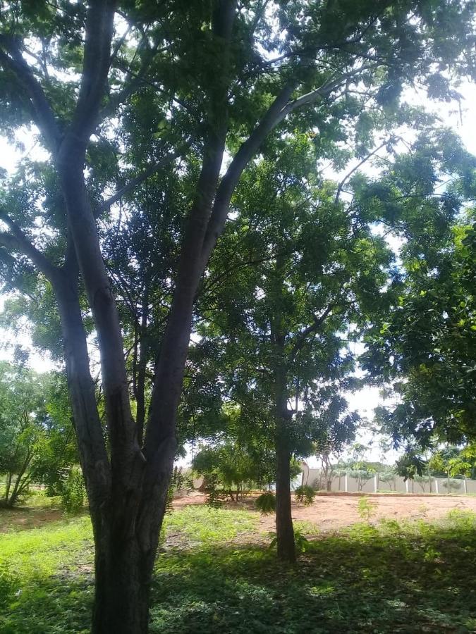 Homestay Paraiso Da Serra *