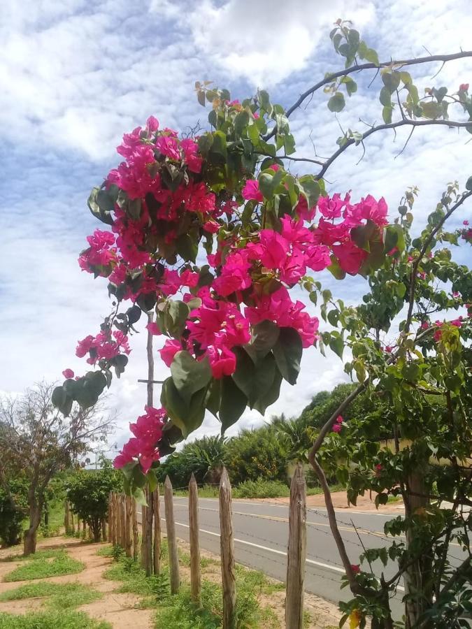 Homestay Paraiso Da Serra